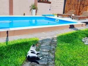 ZUMA | Estilo Romana V